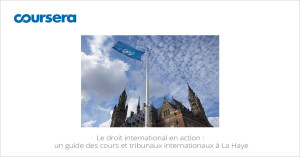 MOOC Le droit international en action : un guide des cours et tribunaux internationaux à La Haye