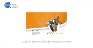 MOOC Bases en épidémiologie des maladies animales