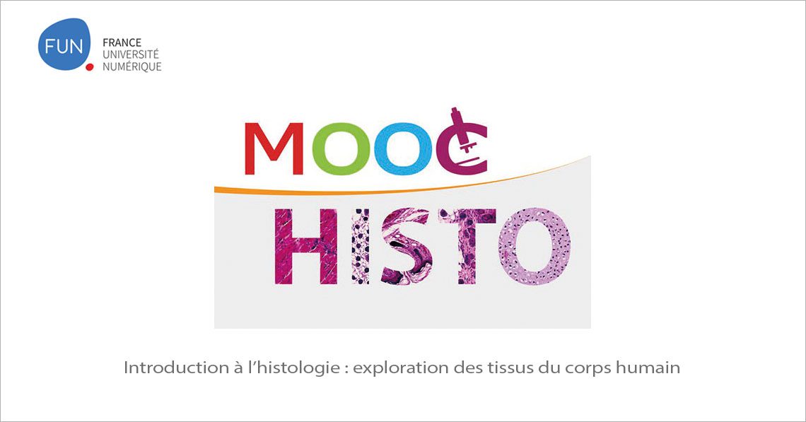MOOC Introduction à l’histologie